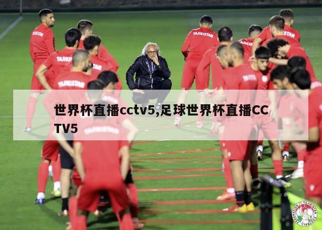 世界杯直播cctv5,足球世界杯直播CCTV5