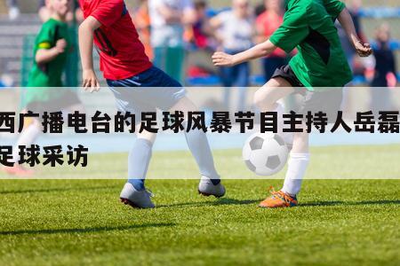 陕西广播电台的足球风暴节目主持人岳磊,陕西足球采访